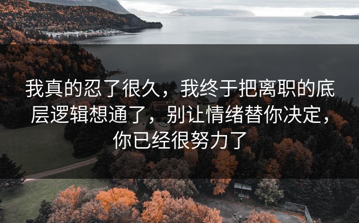 我真的忍了很久，我终于把离职的底层逻辑想通了，别让情绪替你决定，你已经很努力了