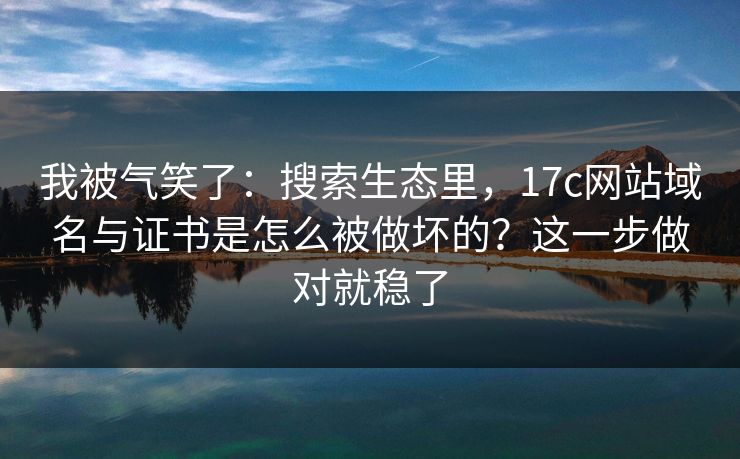我被气笑了：搜索生态里，17c网站域名与证书是怎么被做坏的？这一步做对就稳了