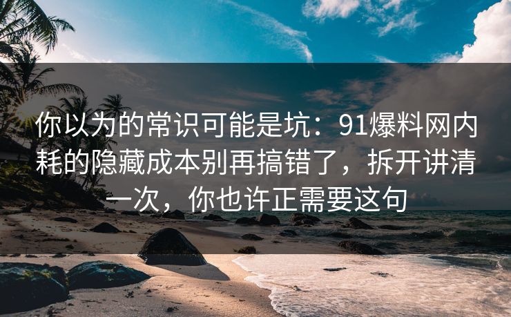 你以为的常识可能是坑：91爆料网内耗的隐藏成本别再搞错了，拆开讲清一次，你也许正需要这句