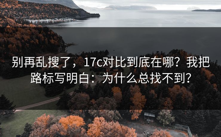 别再乱搜了，17c对比到底在哪？我把路标写明白：为什么总找不到？