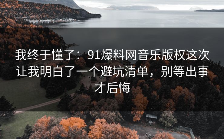 我终于懂了：91爆料网音乐版权这次让我明白了一个避坑清单，别等出事才后悔